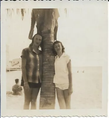 Girls Photograph Palm Tree Florida Vintage 1948 Travel Vacation 3 3/8 X 3 1/2 • $14.83