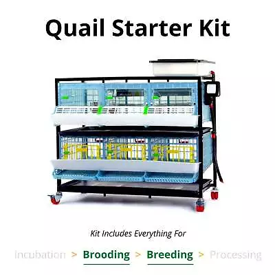 Quail Starter Kit • $489.99