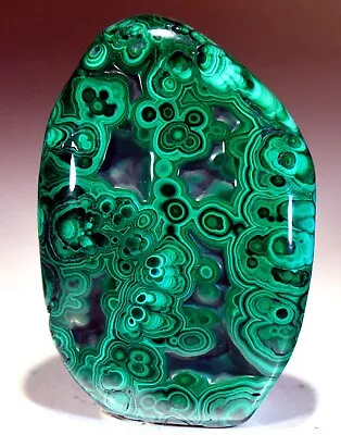 2.85  4.4 Oz Top Quality Polished Bull's Eye Malachite Congo! M686 • $35