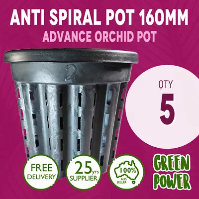 16x14 Anti Spiral Pot 2L Vaso Italy Great For Advance Orchids Aerial Root 5pcs • $26.95