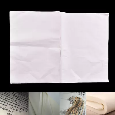 30x New Painting Xuan Paper Rice Paper For Chinese Painting And Calligraphy M Ny • $7.70