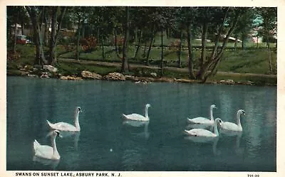 Vintage Postcard 1931 Scenic View Of Swans On Sunset Lake Asbury Park New Jersey • $12.98