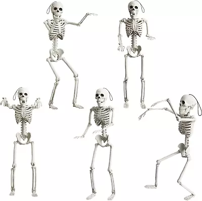 5 Pack 16  Small Skeleton Halloween Decor Full Body - Plastic Mini Skeleton Hall • $27.99