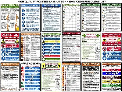 £7.99 • Buy Health Safety A3 Posters Electric Shock First Aid Coshh Chips Fire Food Allergy