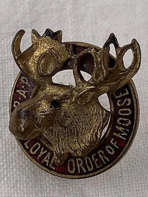 Antique Club Lapel Pin LOOM Loyal Order Of Moose 1909 Gold Plated Brass 3/4”d • $16