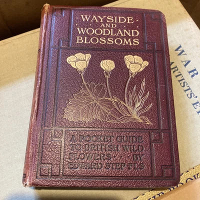 £30 • Buy Wayside And Woodland Blossoms 1905 First Series Edward Step F L S