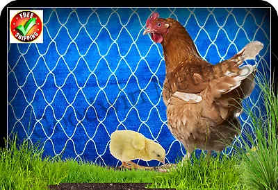 Poultry Netting 50' Duck Pen Chickens Aviary Quail Net Protective Garden Nets • $176.12
