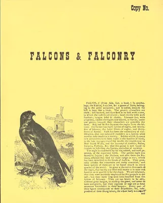 WILKES JOHN RAPTORS AND HAWKING BOOK FALCONS AND FALCONRY 1826 Pbk BARGAIN New • £4.45