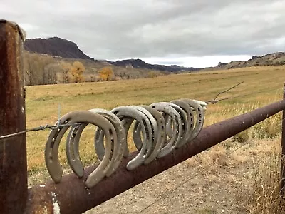 1 Used Lucky Horseshoe Steel Decorative Rustic Western Decor Cody Wyoming • $7.90