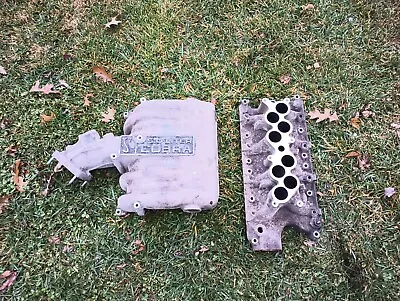 1994-1995 Ford Mustang 5.0L Cobra Intake Manifold GT40 302 SVT EFI  • $995