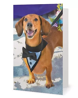 Mini Dachshund Dog - Happy Birthday Card - Animal Rescue Scrappy Dizzle Designz • $4.75