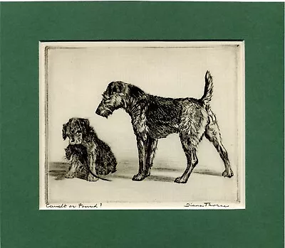 ~ Welsh Terrier ~ Caught Or Found?  Print By Diana Thorne Genuine Vintage 1935 • $12.62