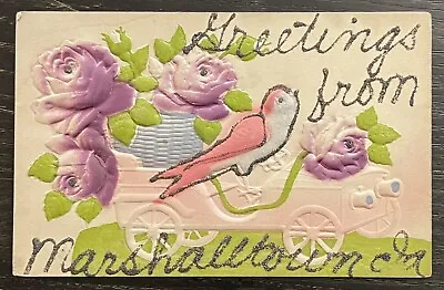 “Greetings From Marshalltown IA (Iowa)” Glitter Rose Bird Vintage Postcard • $15