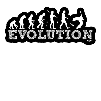 2 X Car Stickers  Evolution Guitar Decal Bike Bumper Truck Laptop Window Sticker • $5.95