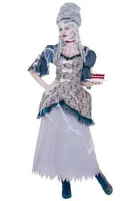 Ghostly Marie Antoinette 18th Century Gray/Br/Blk Tattered Look Gown & Accs. MD  • $35.99