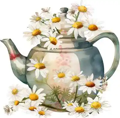 Daisy Teapot Colourful Bedroom Wall  Vinyl Sticker Decals W655 • £3.99