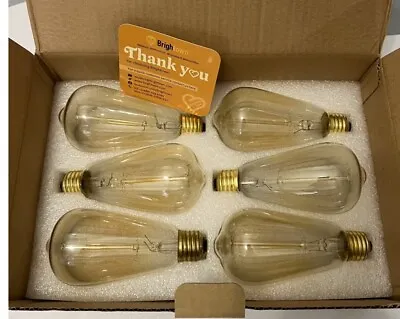 (6-Pack) 60-Watt ST64 Vintage Style Edison Bulbs Incandescent • $14.99