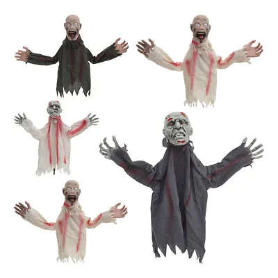 Halloween Props Skeleton Horror Swing Zombie Stakes Light-up Eyes Sound Decors • £10.95
