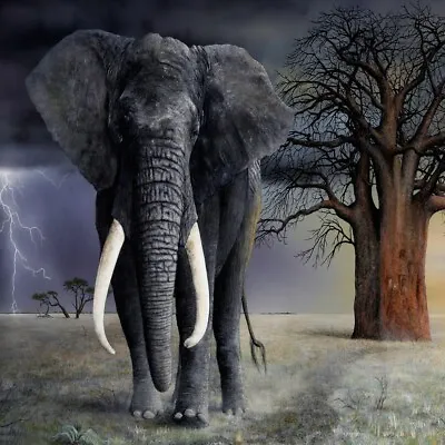 ELEPHANT ART GLOSSY POSTER PICTURE PHOTO Tusk Trunk Ears Mammoth African 1025 • $14.99