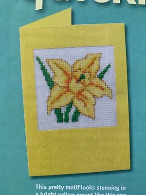 Cross Stitch Quickie Narcissus Spring Daffodil Flower Small Cross Stitch Chart • £0.99