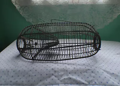 Vintage Wire Animal Trap/Primitive Catch + Release • $20