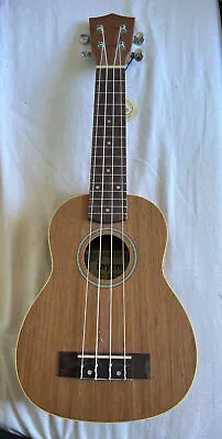 Rayzm Ukulele • £24