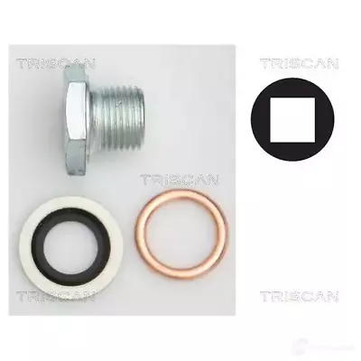 TRISCAN Oil Pan Locking Screw For Citroen Fiat Ford Hyundai VW 82-18 31121 • $15.90