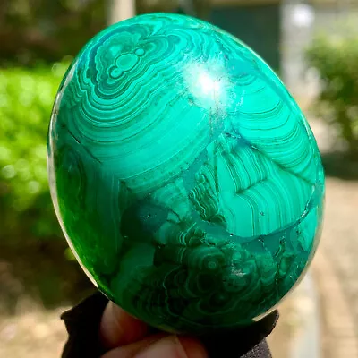 326G Natural Glossy Malachite Egg Transparent Crystal Mineral Sample Healing • $1.99