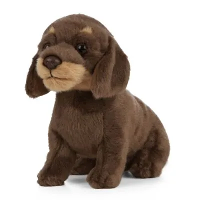 Dachshund Puppy Dog Plush Soft Toy - 19cm - Living Nature • £17.99