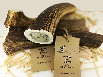 £4.99 • Buy Wild Antler Horn Chews For Dogs Small Medium Large XL - 100% Natural - Calcium