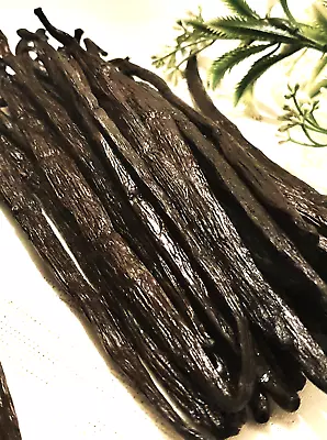 12 Fresh Ugandan Grade A Organic Gourmet Vanilla Beans Pods • $11.99