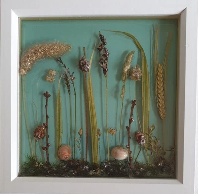 £39.99 • Buy Nature Preserved Resin Wall Art - 3d Box Framed Display