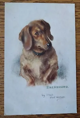 Tuck's  Sketches Of Doggies  Original Postcard Of A Dachshund  • £3