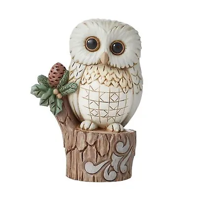 $30.84 • Buy Jim Shore Heartwood Creek White Woodland Owl On Tree Stump Figurine 6011620