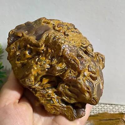 718g Bonsai Suiseki-Natural Gobi Agate Eyes Stone-Rare Stunning Viewing H709 • $61.75