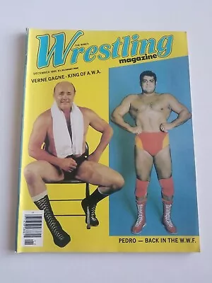 Vintage The Ring's Wrestling Magazine 1980 Verne Gagne Morales Hogan Savage Awa • $19.98