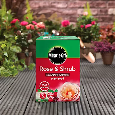 Miracle-Gro Continuous Release Rose And Shrub Plant Food 3kg • £13.99