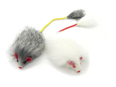 Real Rabbit Fur Long Hair Mouse With Elastic Tail Cat Toy - 2pk • $5.99