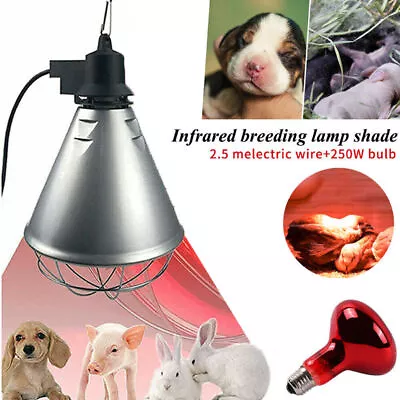 Infrared Heat Lamp Poultry Puppies Dog Kittens Piglets Animals With 250W Bulb • £19.39