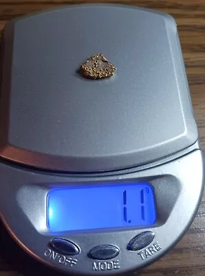  Gold Nugget  1.1 Grams  • $61