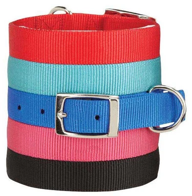 Zack And Zoey Double Layer Nylon Dog Collar Buckle Red Blue Black Pink Durable • $8.50