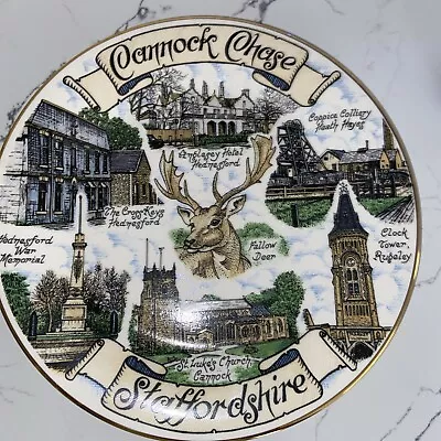 Cannock Chase Staffordshire Plate Edwardian China • £4.99