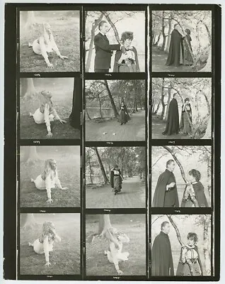 UK Contact Sheet Veronica Carlson 1968 Dracula Has Risen From The Grave Hammer • $685