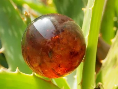 Mexican Amber Sphere • $40