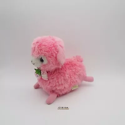 Alpaca Baby Alpacasso Pink C1810A Amuse Plush 6  Stuffed Toy Doll Japan • $12.39