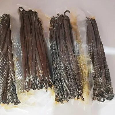 120 Premium Vanilla Beans Over 6  Long Best Grade A Vanilla Express Shipping • $245