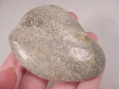 F832-D) Shiny Polished Petoskey Stone ANCIENT Coral Specimen Michigan State Rock • $22.99