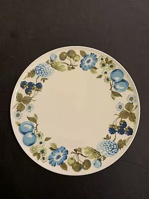 Vintage Iroquois China Informal By Ben Seibel Blue Vineyard Dinner Plate • $10