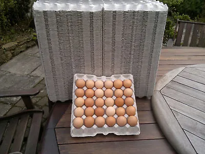 Egg Trays Grey 10 Trays (holds 30 Eggs) Suitable For Chicken Medium/large Eggs  • £8.40