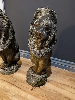 Pair Antique Stone Upright  Posturing Lions Aged & Weathered • £40